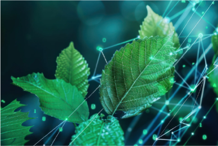 Digital services increasingly sustainable, Lepida adopts certified green energy - Image